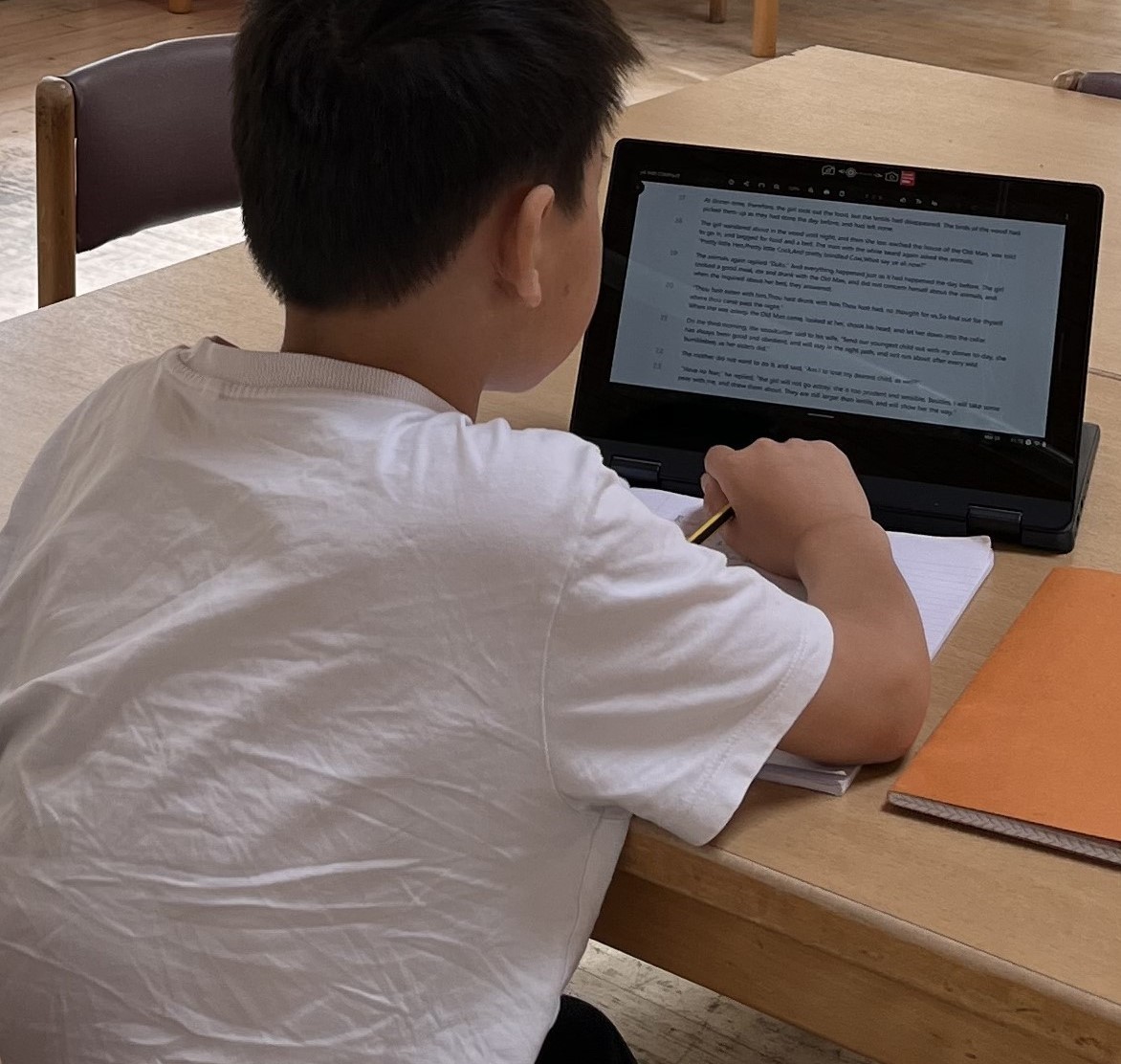 Online Lessons